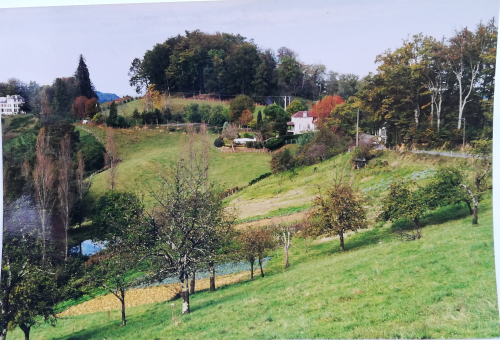 bearn_vallee bearn_vallee